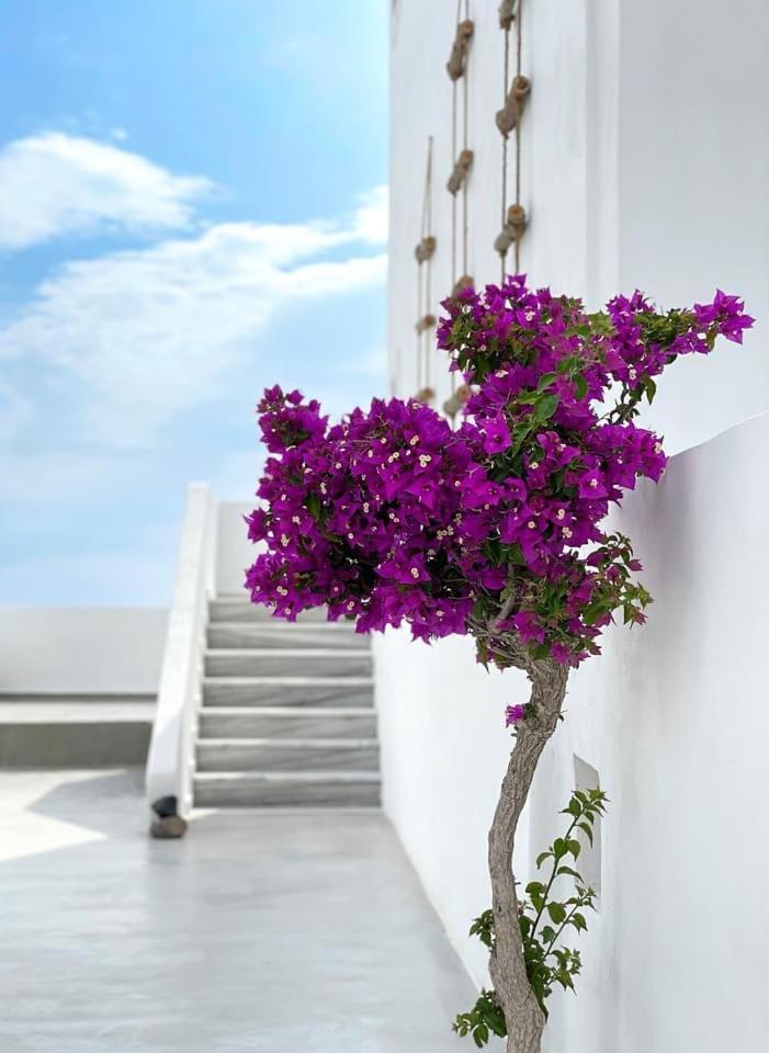 מונוליתוס Hermoso Luxury Suites מראה חיצוני תמונה